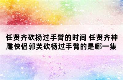 任贤齐砍杨过手臂的时间 任贤齐神雕侠侣郭芙砍杨过手臂的是哪一集